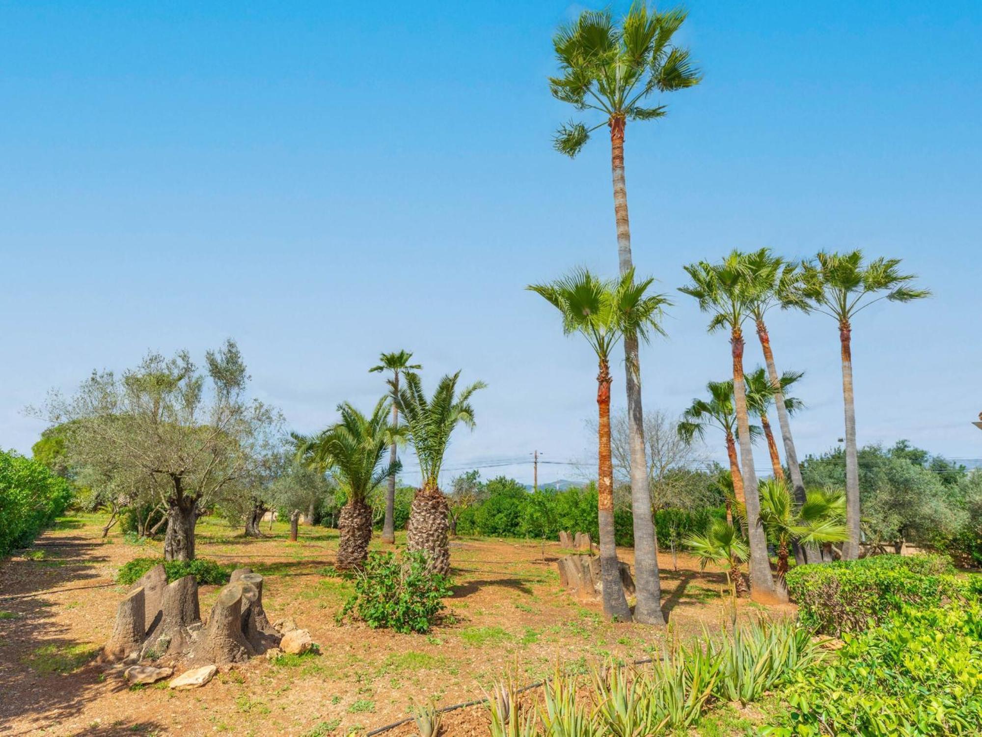 Villa Es Garroveret - With Private Pool Free Wifi